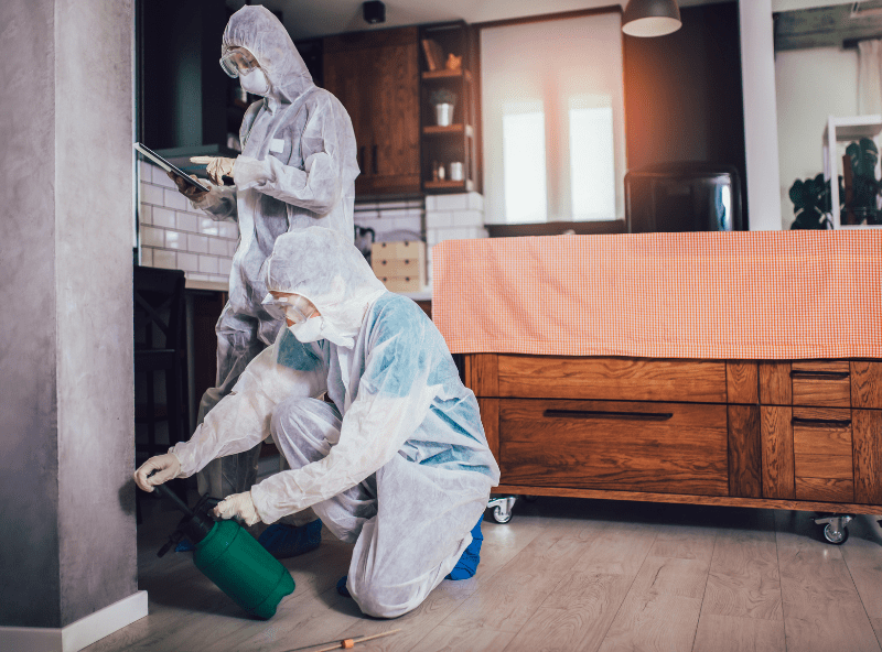 Pest Management Experts